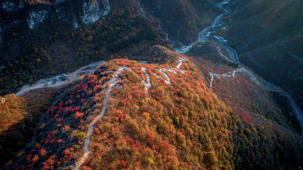 周喜俊：把绿色画卷绘在红色土地上